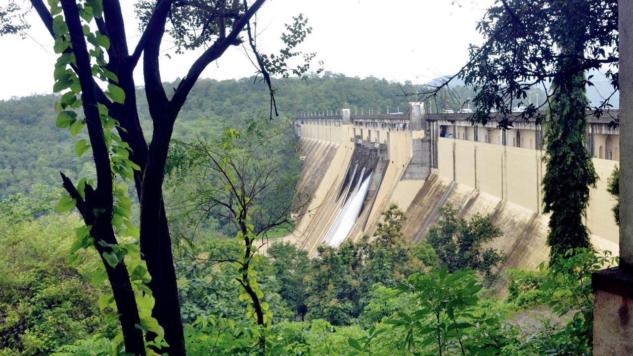 Mumbai: Lake levels see slight improvement, city awaits heavy rainfall