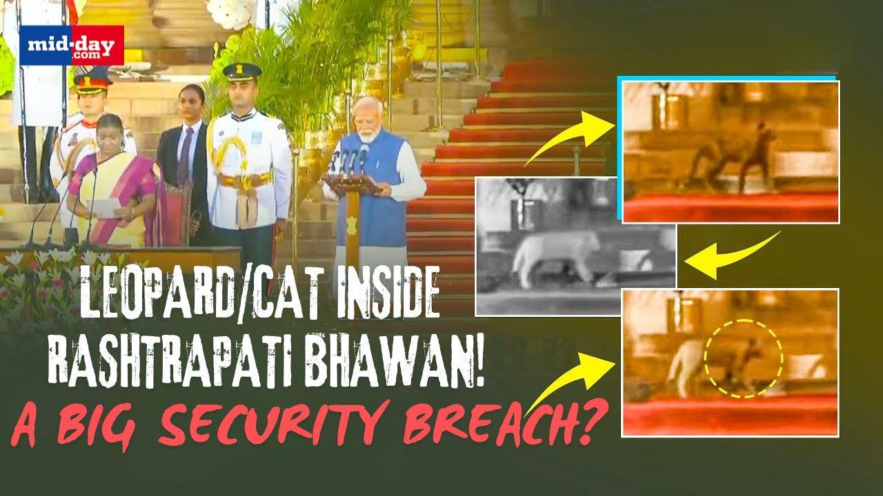 PM Modi Oath Ceremony: Leopard Inside Rashtrapati Bhawan?