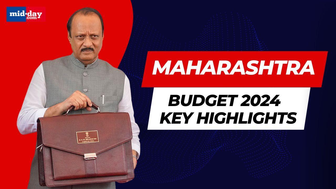 Maharashtra Budget 2024: Here are the key highlights