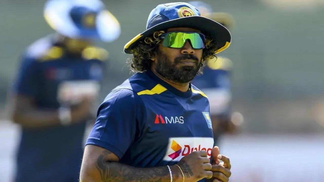 Featuring in 16 T20 World Cup matches, Hasaranga has bagged 31 wickets and Malinga has 38 wickets to his name from 31 T20 World Cup matches