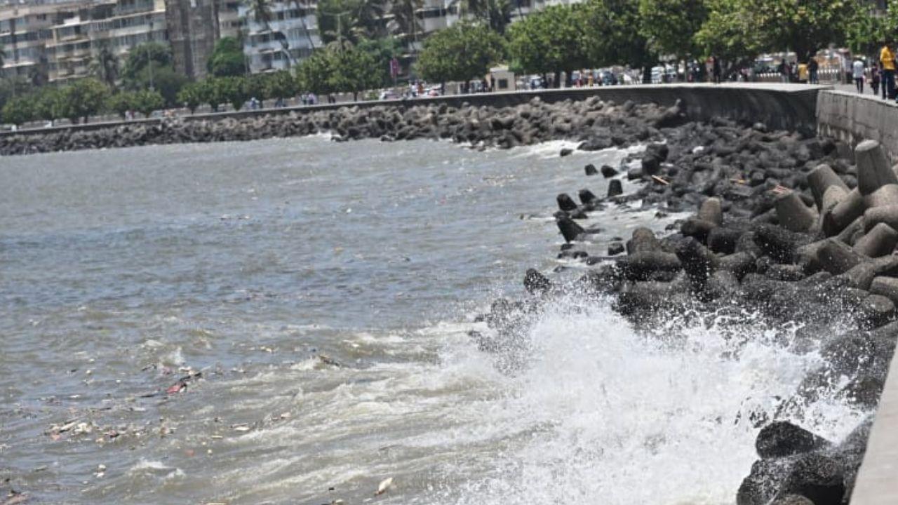 The India Meteorological Department (IMD) has predicted thunderstorms and light to moderate rainfall in Mumbai and its suburbs.