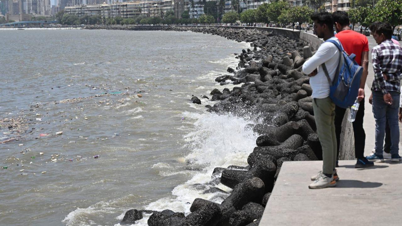 IMD has provided details about the tide schedule for Mumbai. A high tide was expected on Thursday at 12.05 pm and is later expected at 11.48 pm, with varying heights. 