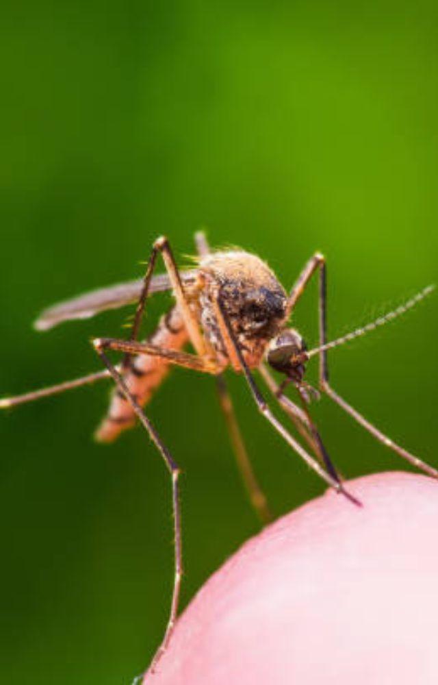 Malaria is caused by Plasmodium parasites, transmitted by Anopheles mosquitoes. Stagnant water in monsoon provides ideal breeding conditions for the mosquitoes
