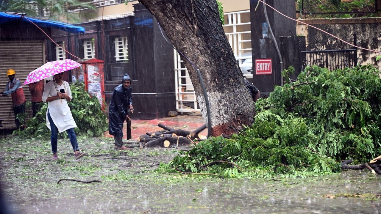 The BMC, in its Mumbai weather update, further stated that the island city in the 24-hour period ending on Friday at 8 am recorded 66.53 mm of rainfall