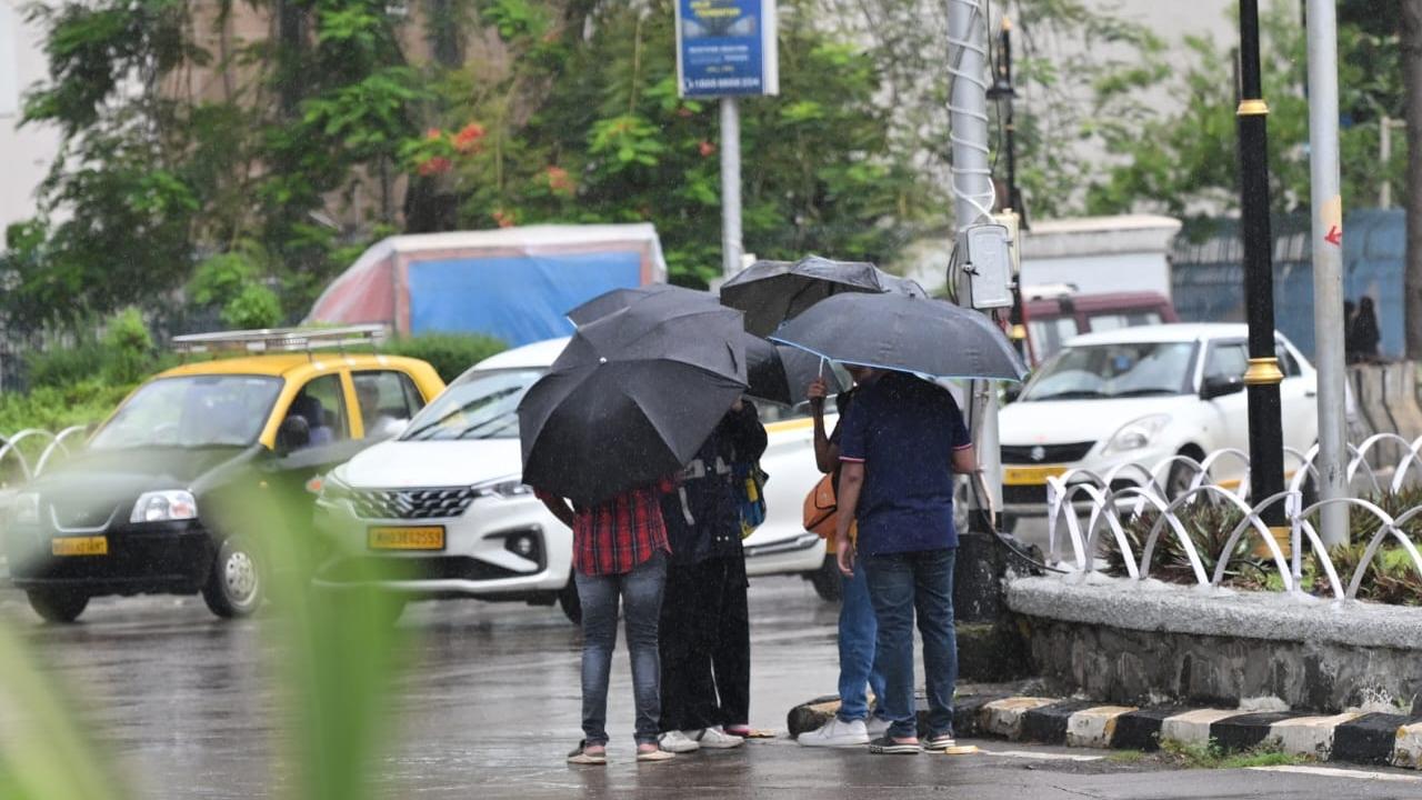 The city witnessed 24 incidents of tree or branch fall, four of short circuit and two of wall collapse, but there is no report of any injury to anyone, an update from the civic disaster management department said on Friday