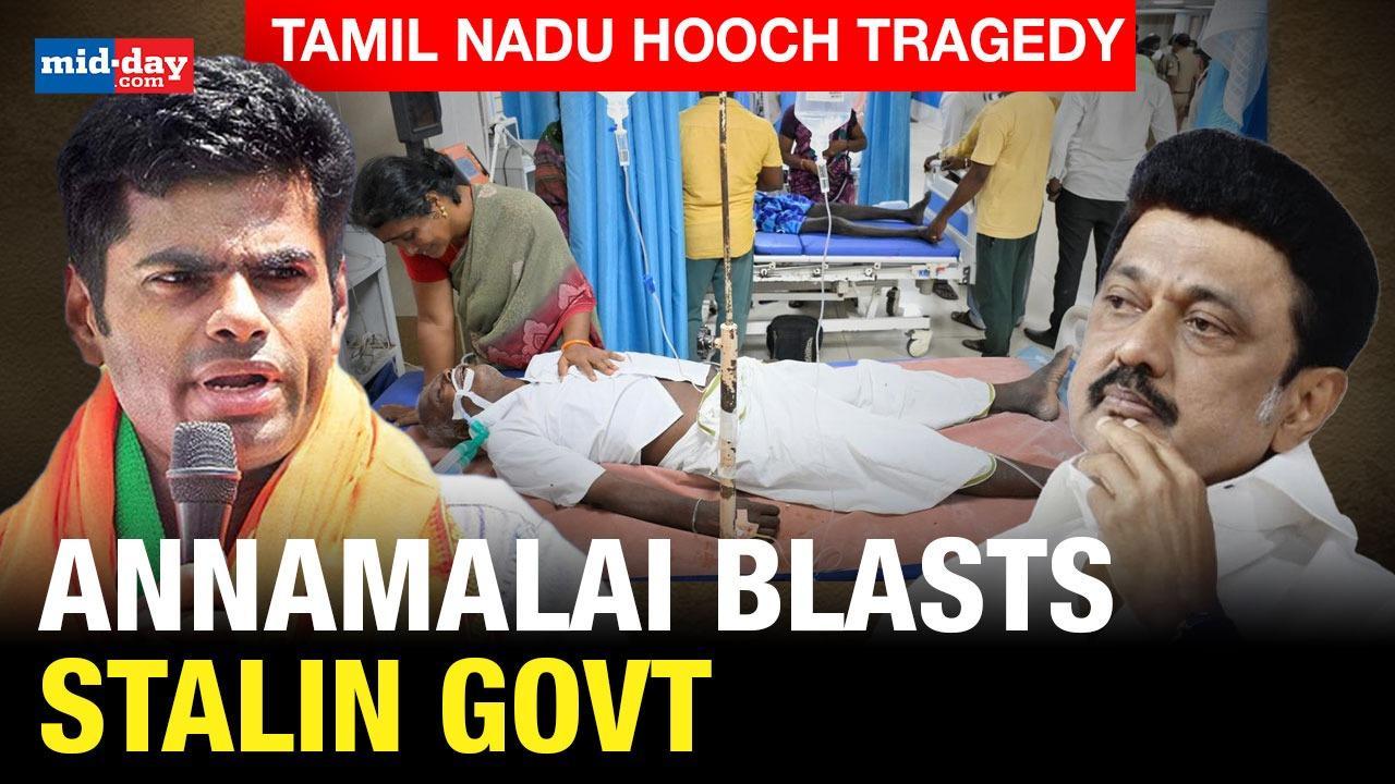 Tamil Nadu Hooch Tragedy:  Annamalai Blasts Stalin Govt Over Tragic Incident