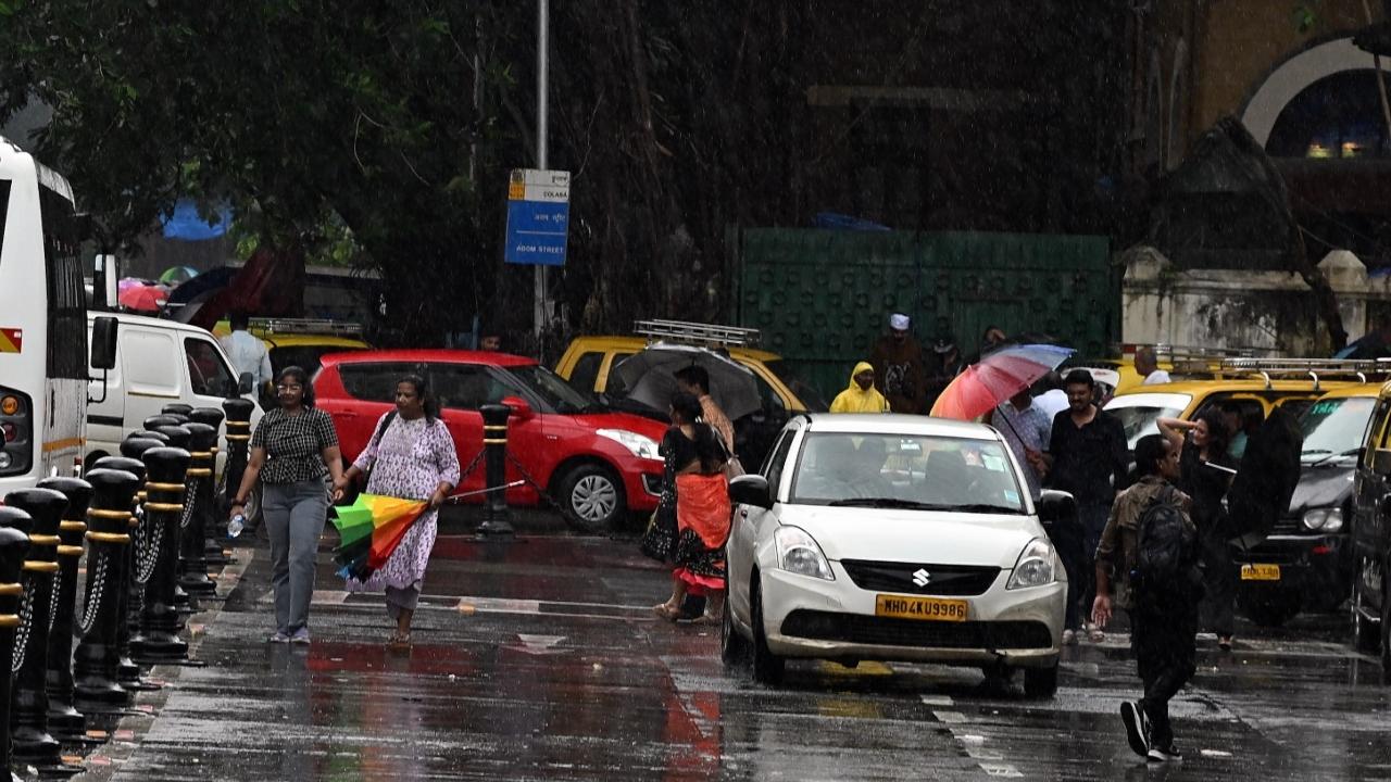 The BMC has urged citizens to avoid standing under trees during heavy rains. 