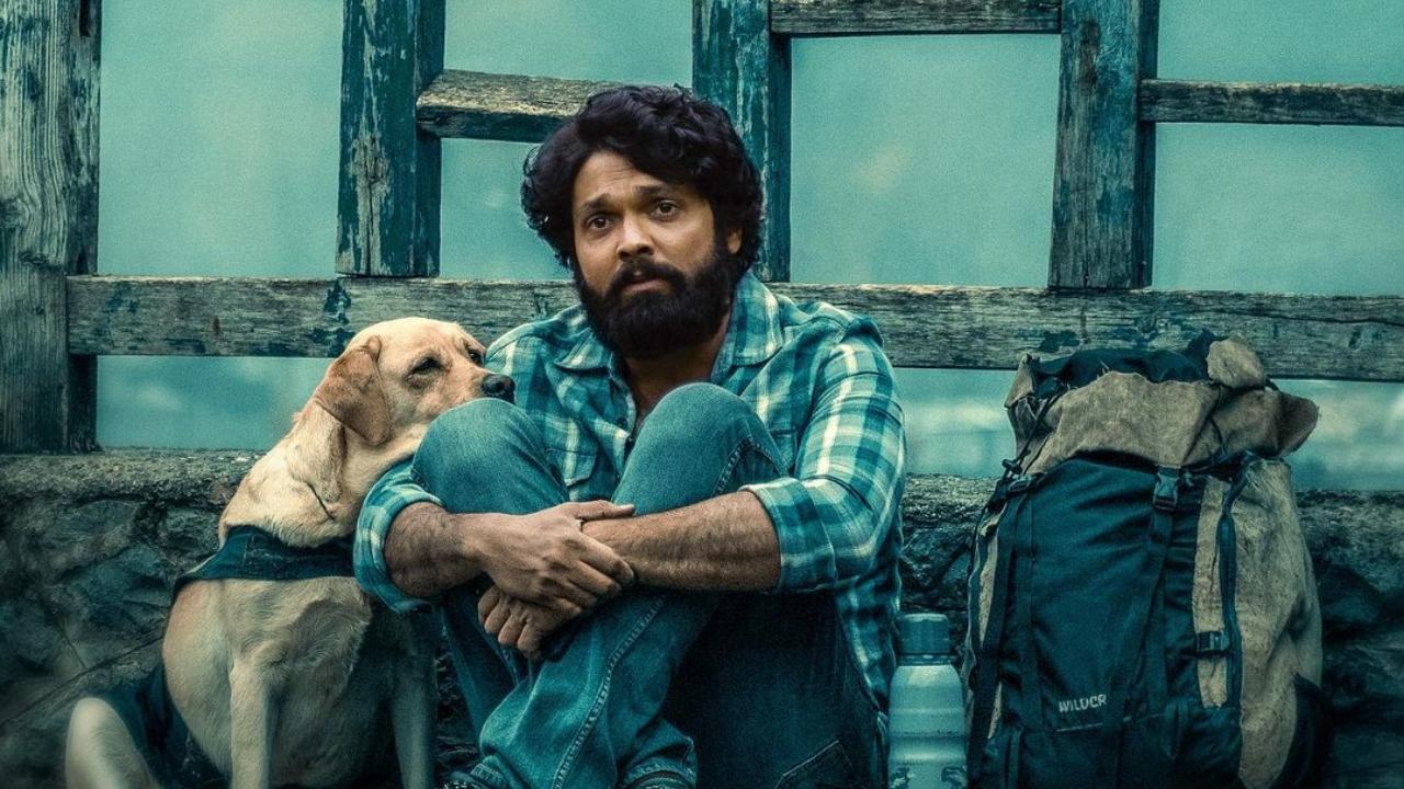 A look at how Rakshit Shetty has boosted Kannada cinema with his work