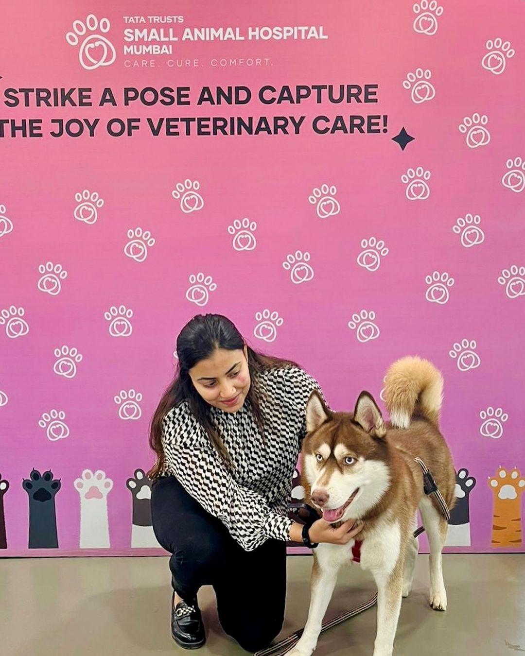 Ivan
The special post dedicated to all those who came forward to help reinstates Ratan Tata's dedication towards animal welfare. He finally hoped for a quick recovery for the patient. 