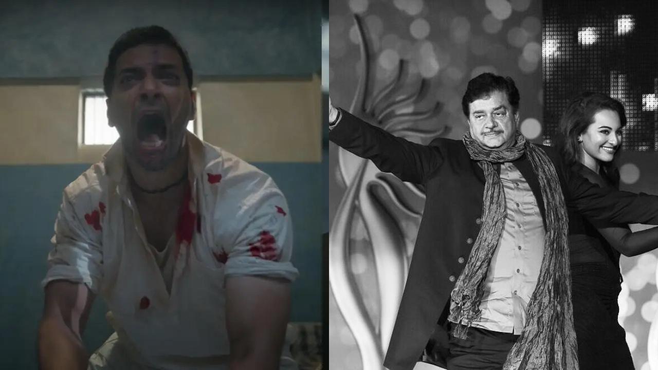 Ent Top Stories: Mirzapur 3 trailer unveiled, Shatrughan on Sonakshi's wedding
