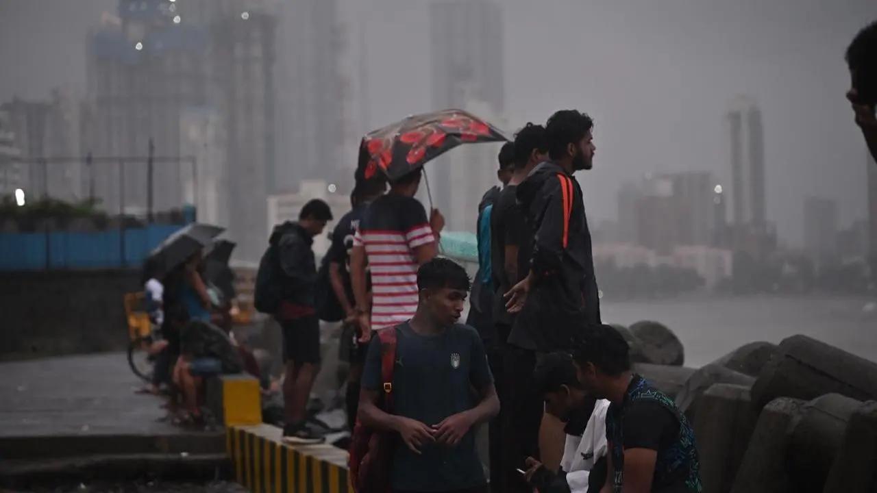 Monsoon brings surge in dengue cases: Doctors advise caution, early detection