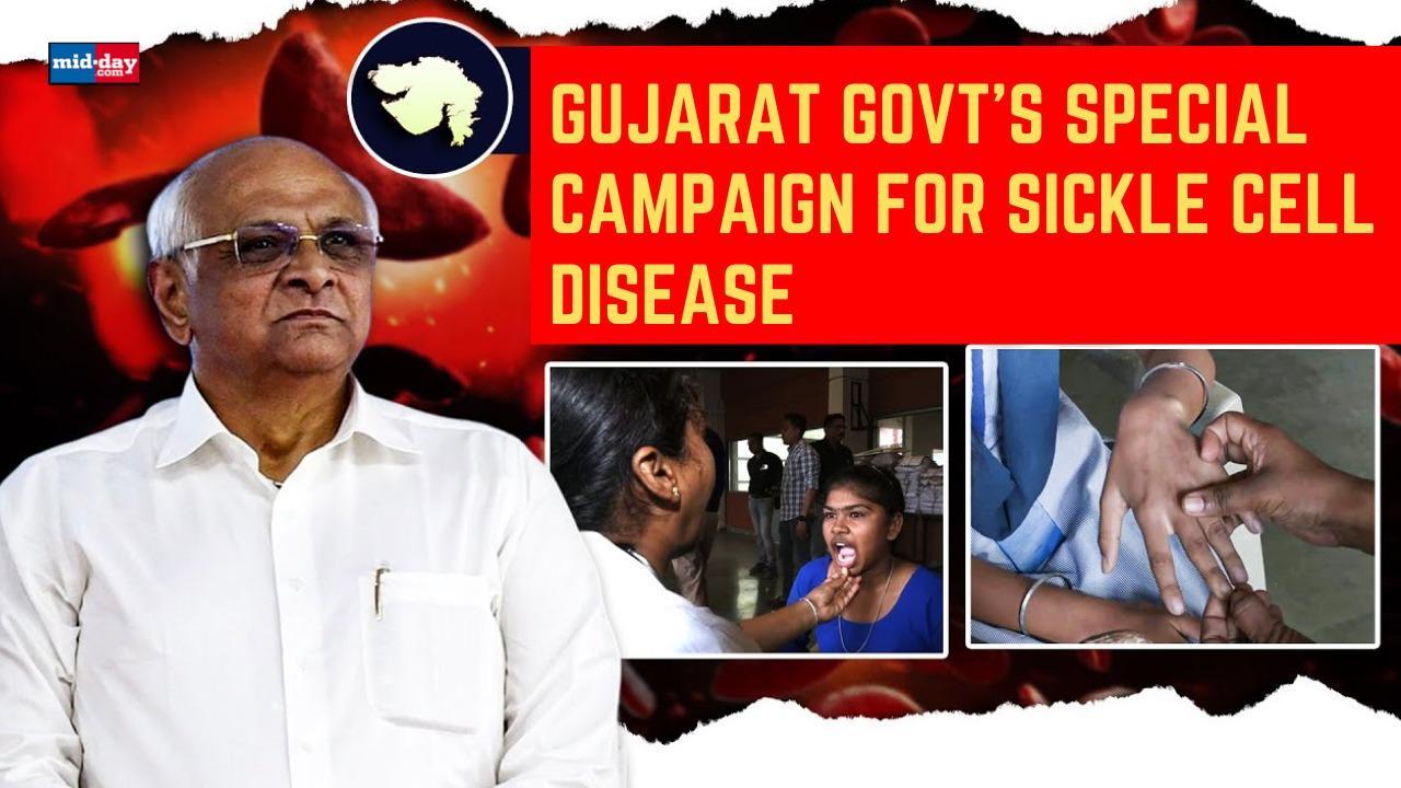 Gujarat Govt  Runs a Special Campaign To Eliminate Sickle Cell Diasease