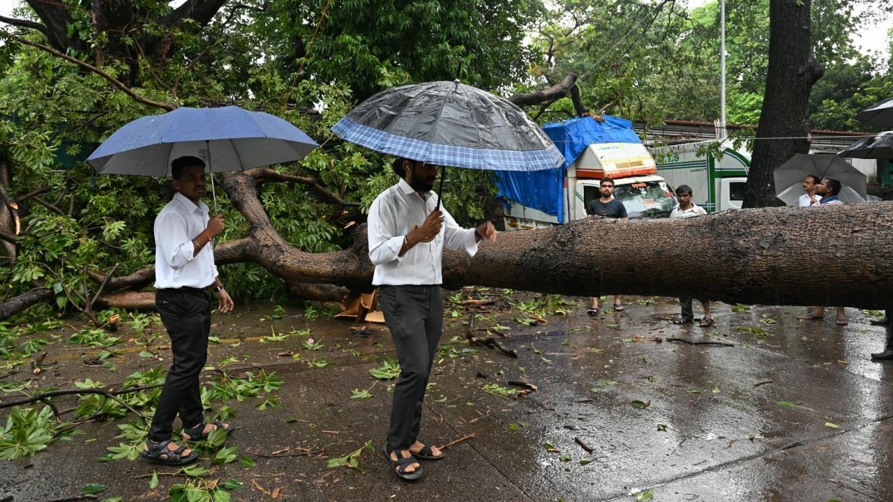 On Friday, Mumbai experienced moderate to heavy rainfall, causing traffic jams, a few tree falls, and delays in suburban train operations