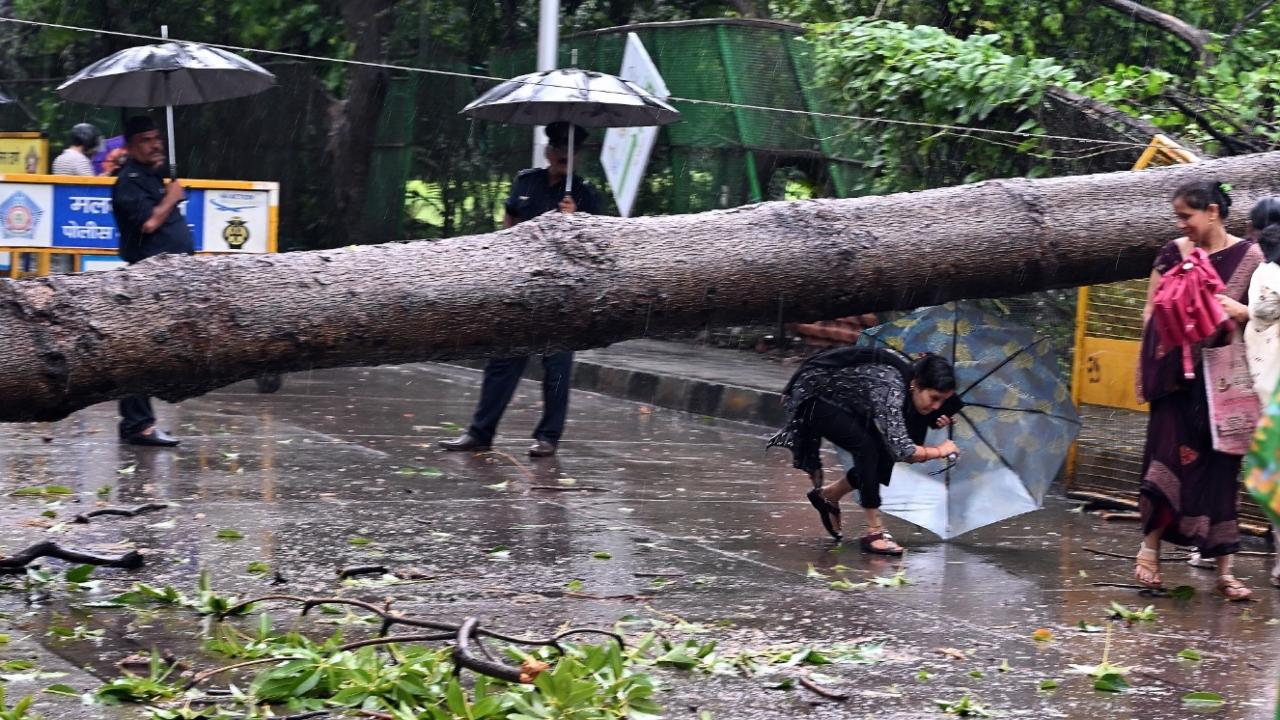 Meanwhile, during the same duration, the Santacruz observatory recorded 65.9mm of rainfall with maximum temperature reaching upto 29.5 degree celsius and minimum being at 24.9 degree celsius