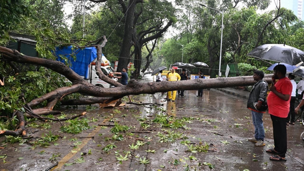 The Colaba observatory recorded 78.6mm of rainfall in the last 24 hours with maximum temperature being 28.8 degree celsius while the minimum dropping to 24.4 degree celsius 