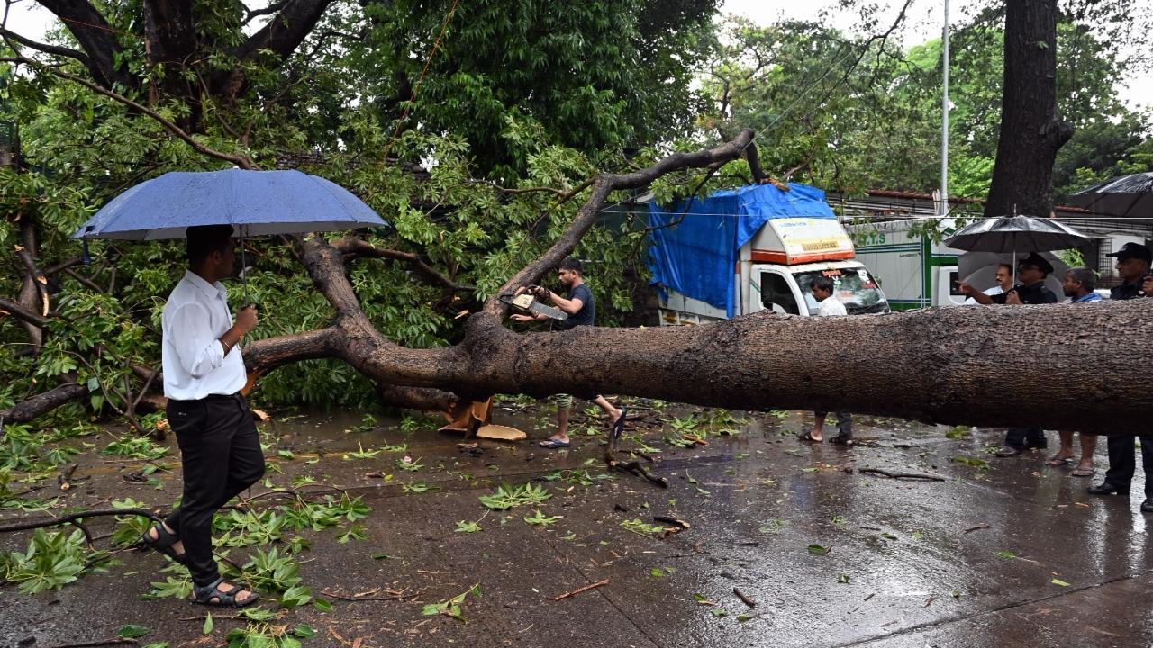 The rains have brought in a sense of relief for the city, which recorded its hottest day of the month on Tuesday
