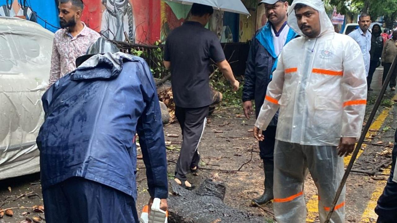 Local fire personnel and the regional disaster management cell team members rushed to the spot for rescue and clearing work