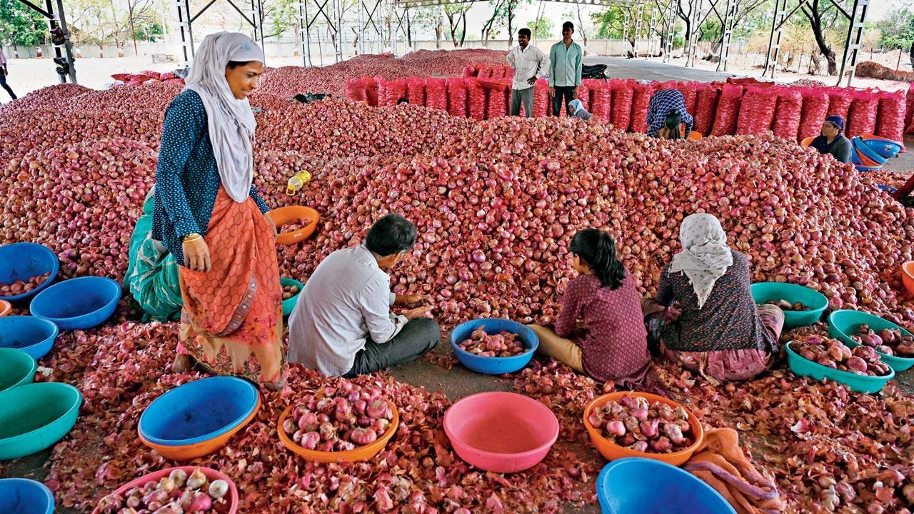 Did onions upset BJP ally’s winning appetite in Nashik?