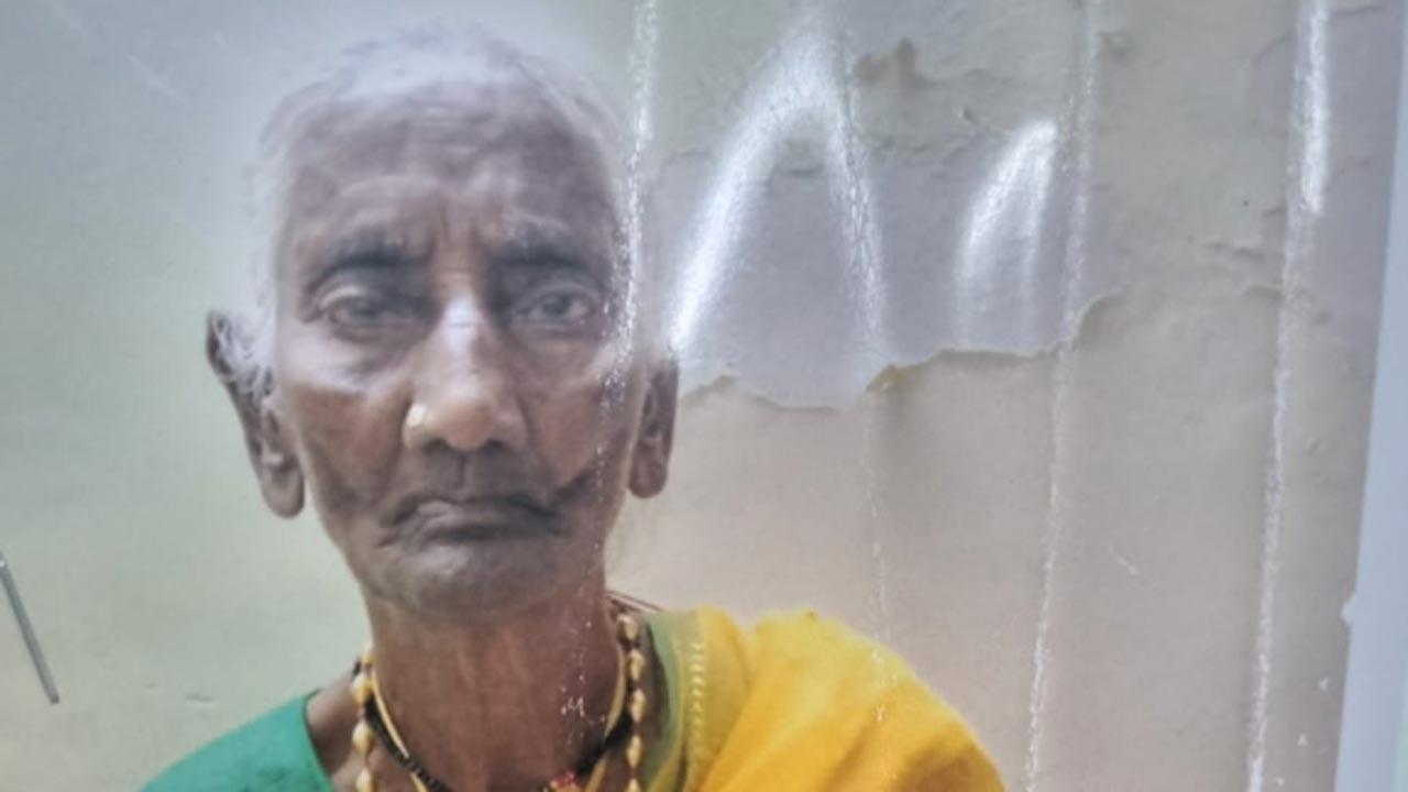 Mumbai: Biker, rickshaw driver booked in hit-and-run case after 75-year-old woman dies
