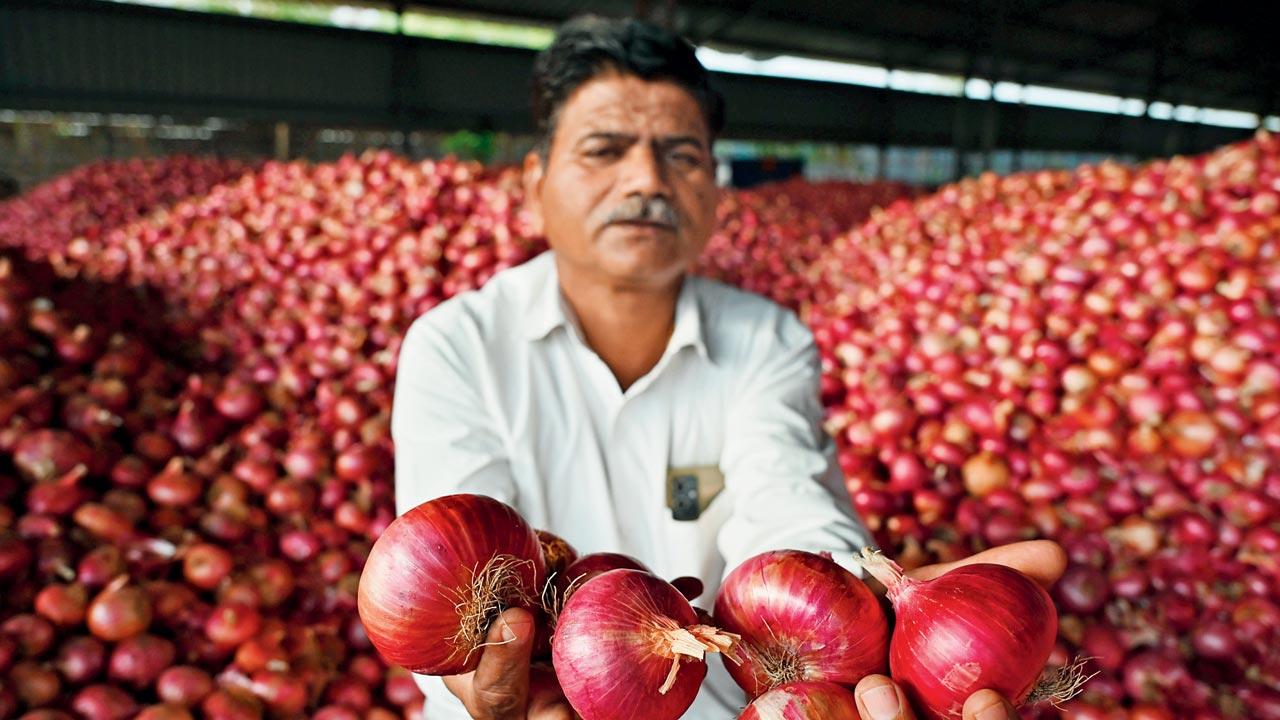 Nivrutti Nayahrakar at Pimpalgaon’s Baswant onion market. File pic/Ashish Raje