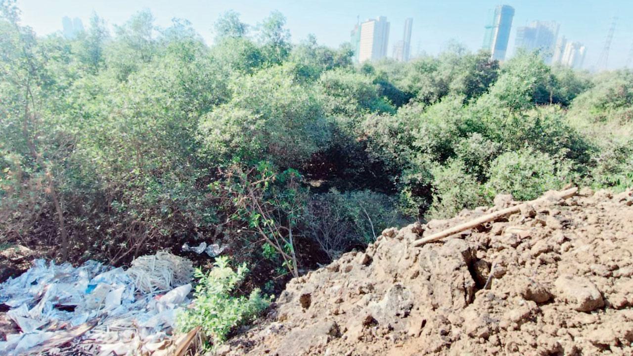 Mumbai: Cops let man who killed 12-year-old boy escape