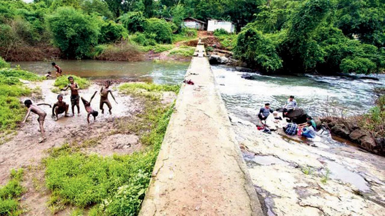 Mumbai: BMC to initiate evacuation strategy plan for Dahisar River