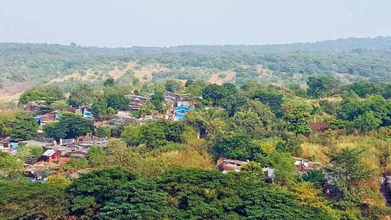 Mumbai: Drone to be used to spot encroachments along SGNP periphery