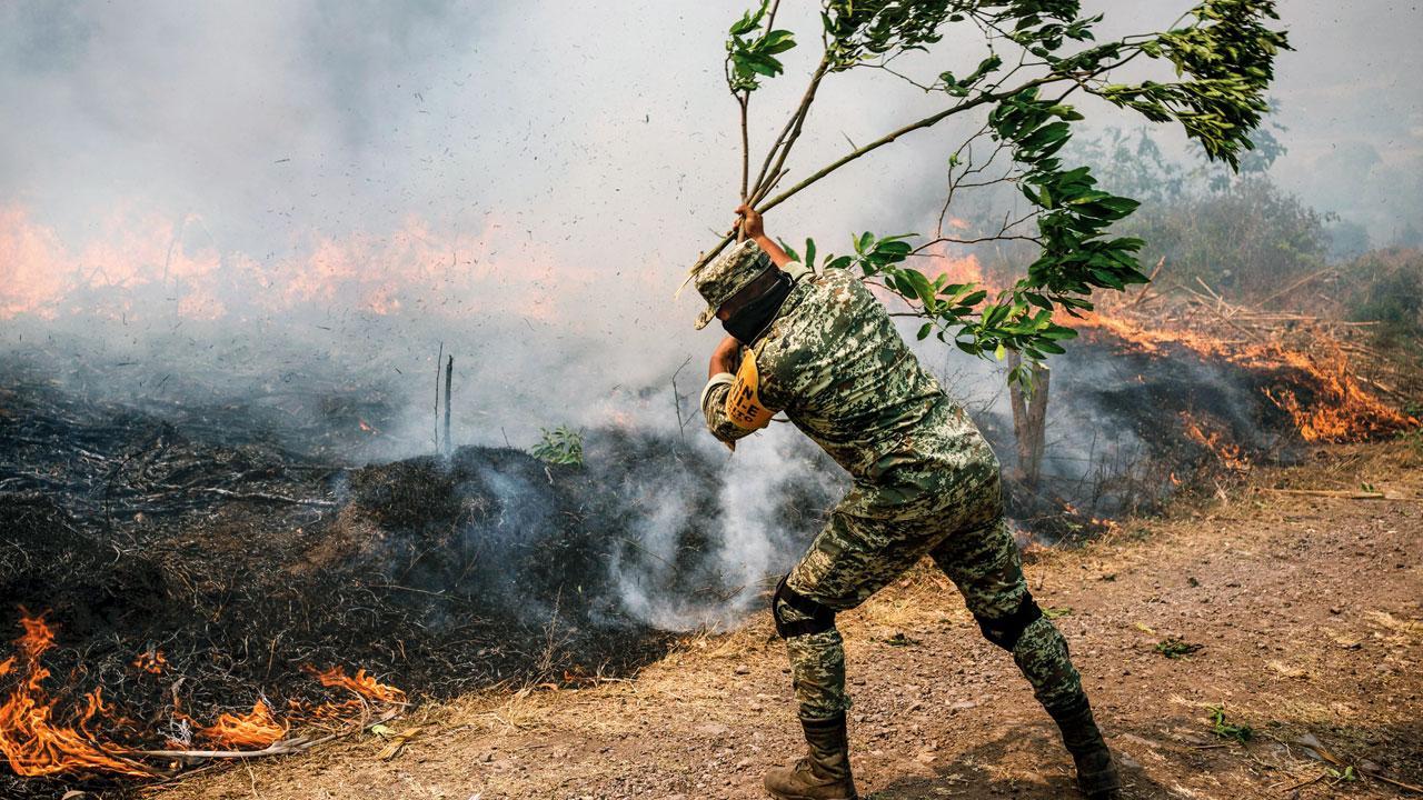 Mexico battles big forest fires in 15 states