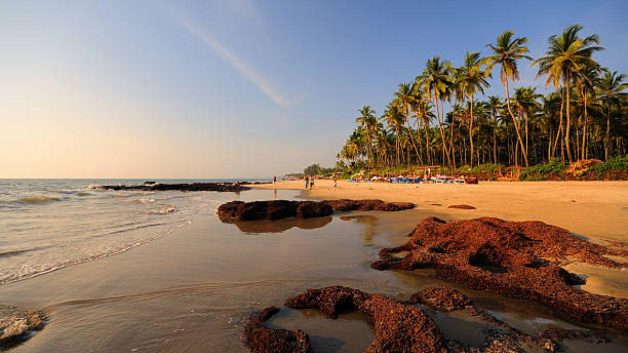 Goa: Renowned for its vibrant dive sites catering to beginners and advanced divers, Goa is a popular destination for underwater exploration. Divers can discover submerged shipwrecks, vibrant coral reefs, and an array of marine species, making each dive a memorable experience. Representative pic/iStock