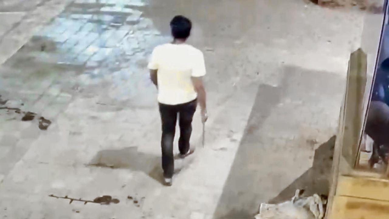 CCTV grab of the suspected accused with a stick in hand