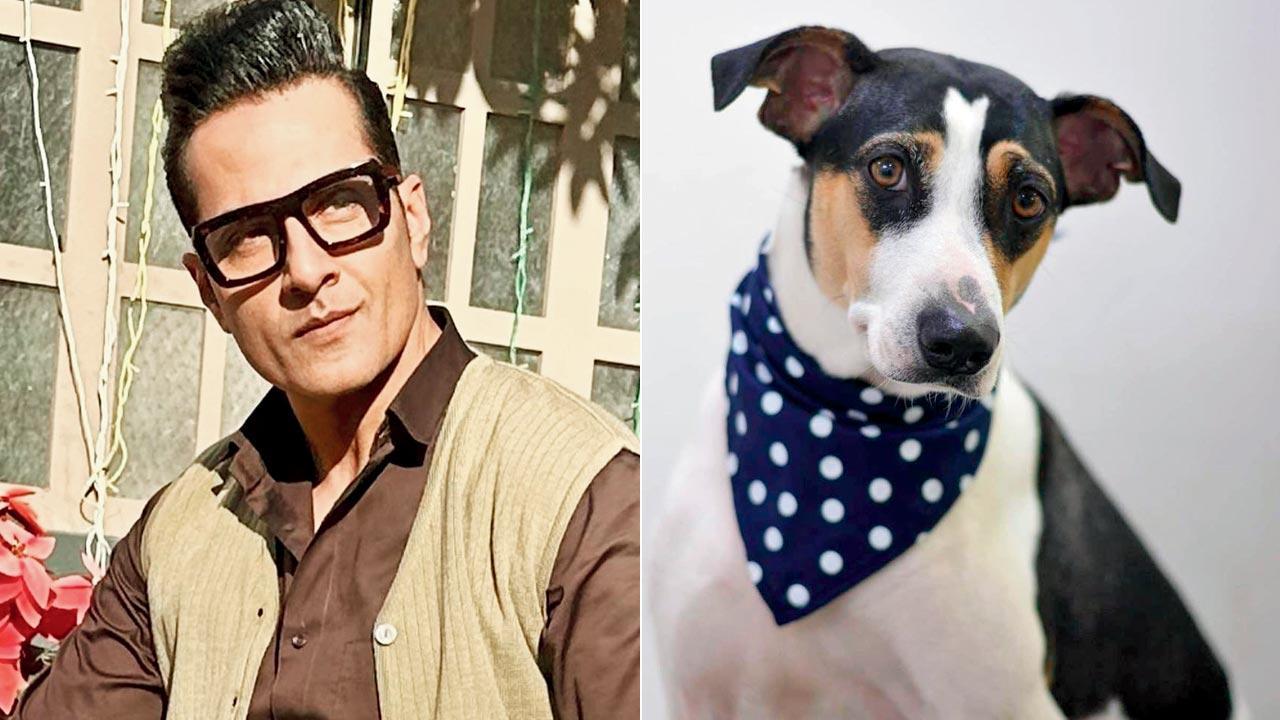 Mumbai: Actor seeks justice for murdered society dog