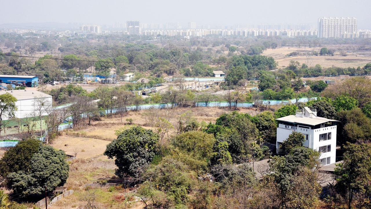 Village houses and rice field alongside garbage dumping plot. Pics/Satej Shinde