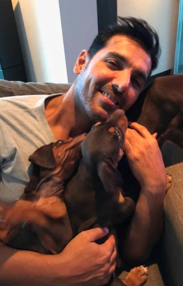 John Abraham`s decision to adopt Bailey, a pup rescued by an animal welfare organization, showcases his soft side