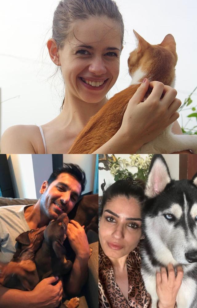 Pawrents who adopt and don`t shop!