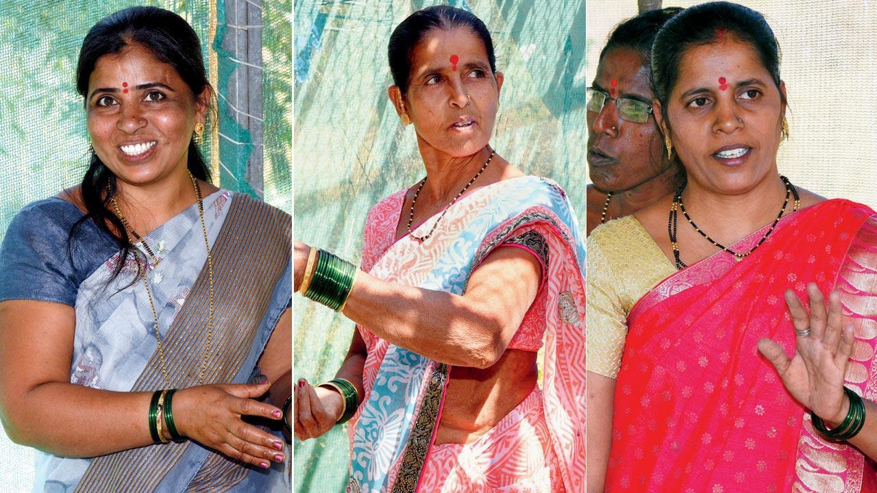 How women earn freedom by making organic manure in Shahapur