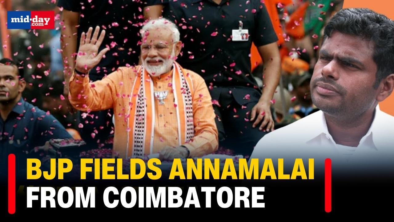 Lok Sabha Elections 2024: Annamalai reacts on being fielded from Coimbatore