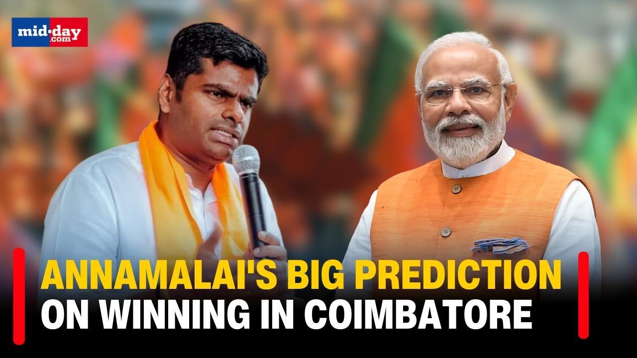 Lok Sabha Elections 2024: TN BJP Chief Annamalai says BJP will get 60% vote