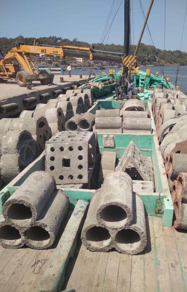 In response to the declining fish population caused by pollution from sewage and plastic waste, artificial reefs have been installed near Worli.
