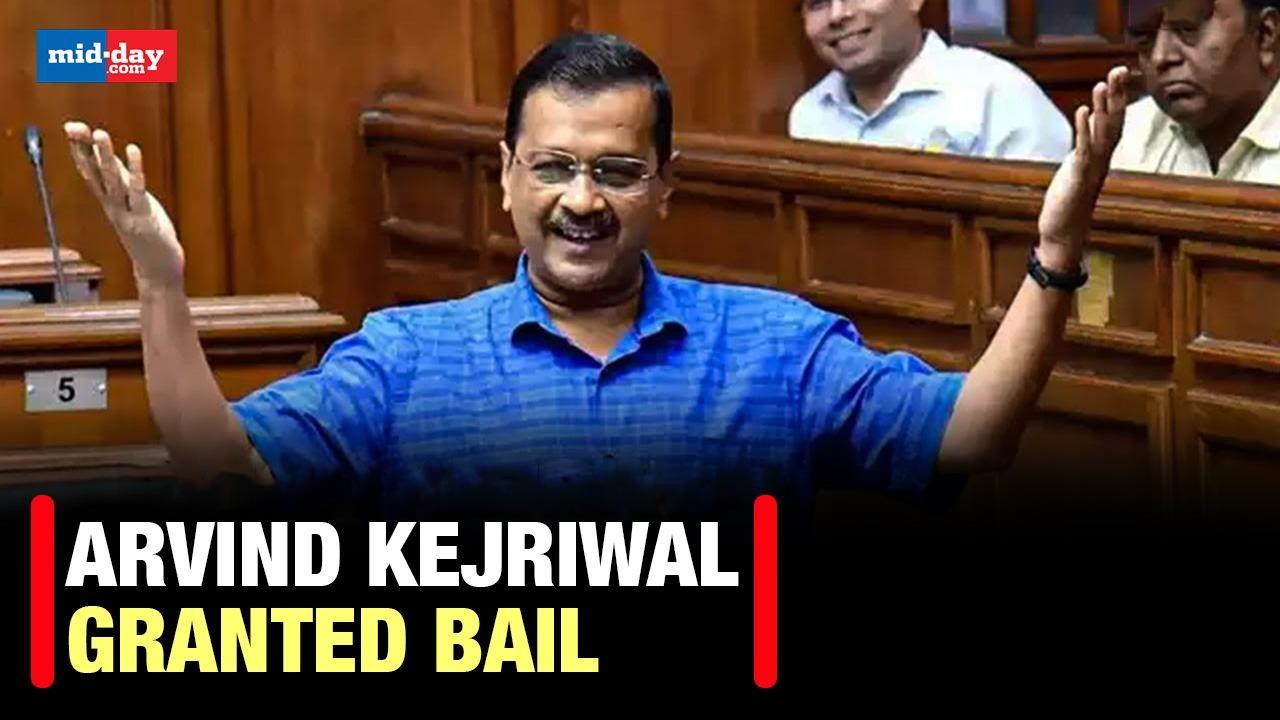 Delhi Excise Policy Case: Delhi CM Arvind Kejriwal granted bail
