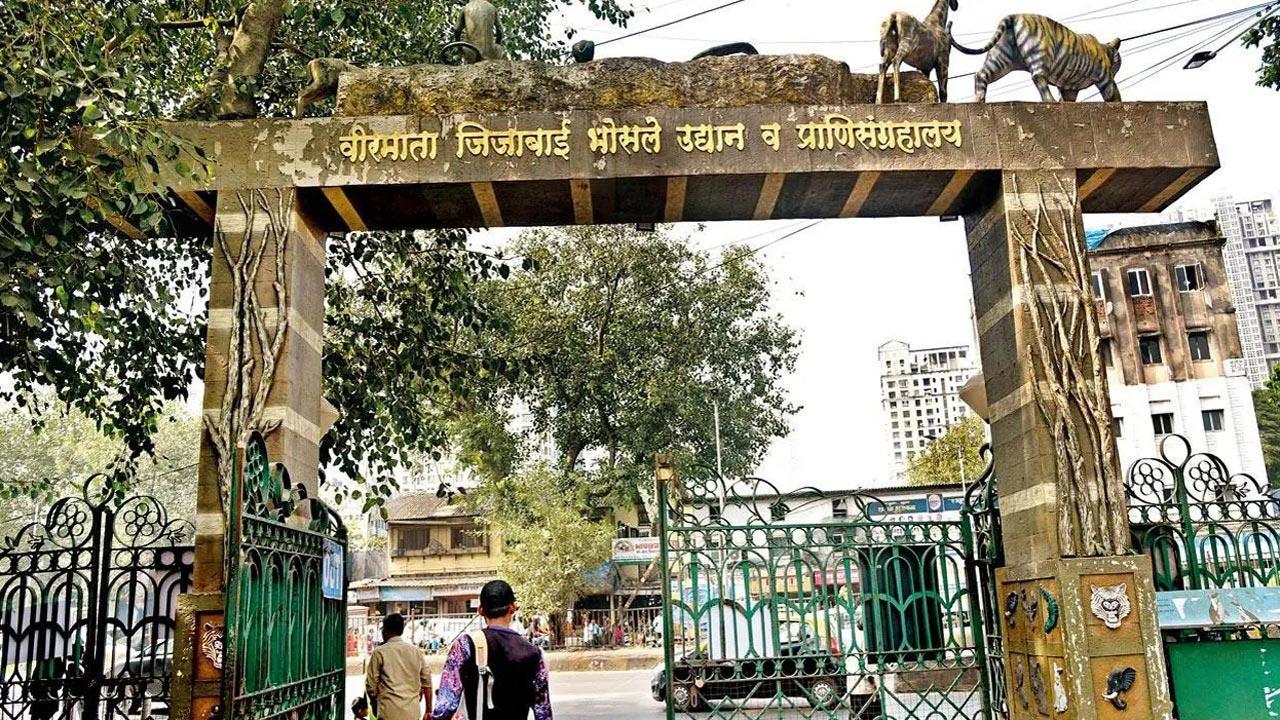Mumbai: 50 animals dead at Byculla Zoo, citizens express concern