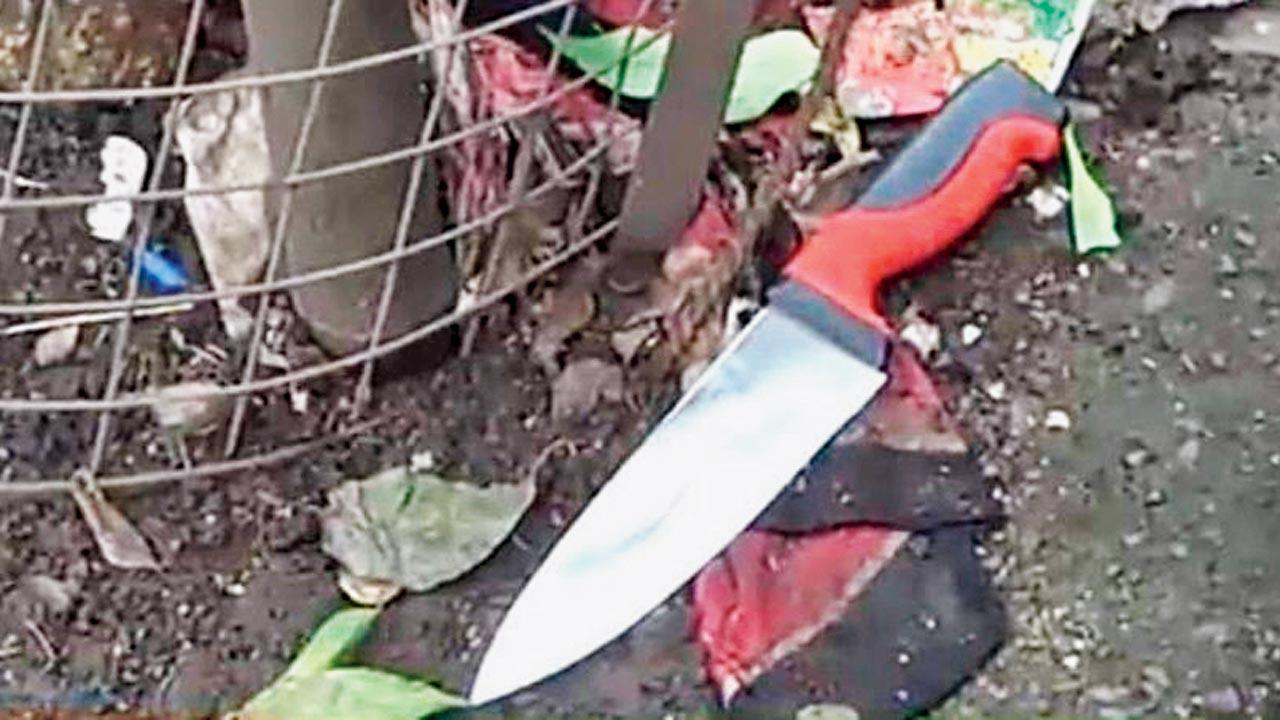 No blood stains were spotted on the knife which is alleged to be planted by the Crime Branch. Pics/Hanif Patel