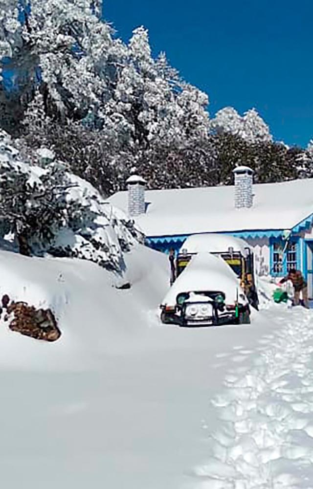 Heavy snowfall in Darjeeling