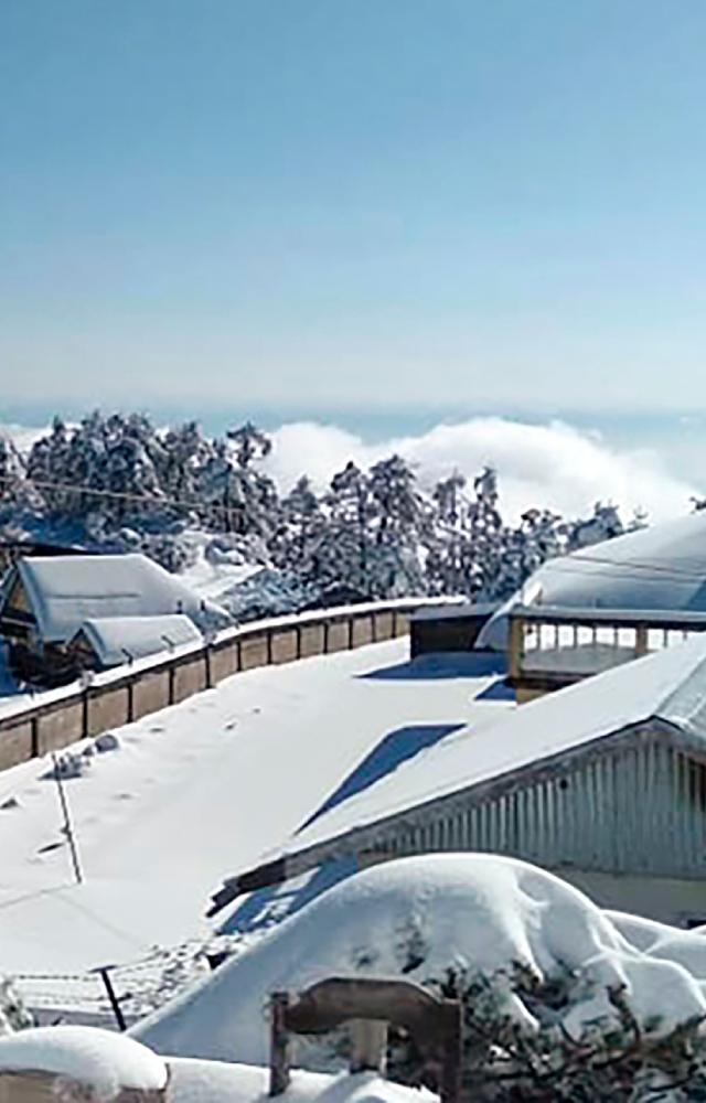 Around 40 tourists, who got stranded following heavy snowfall were evacuated to safer places, a Darjeeling district official said on Friday