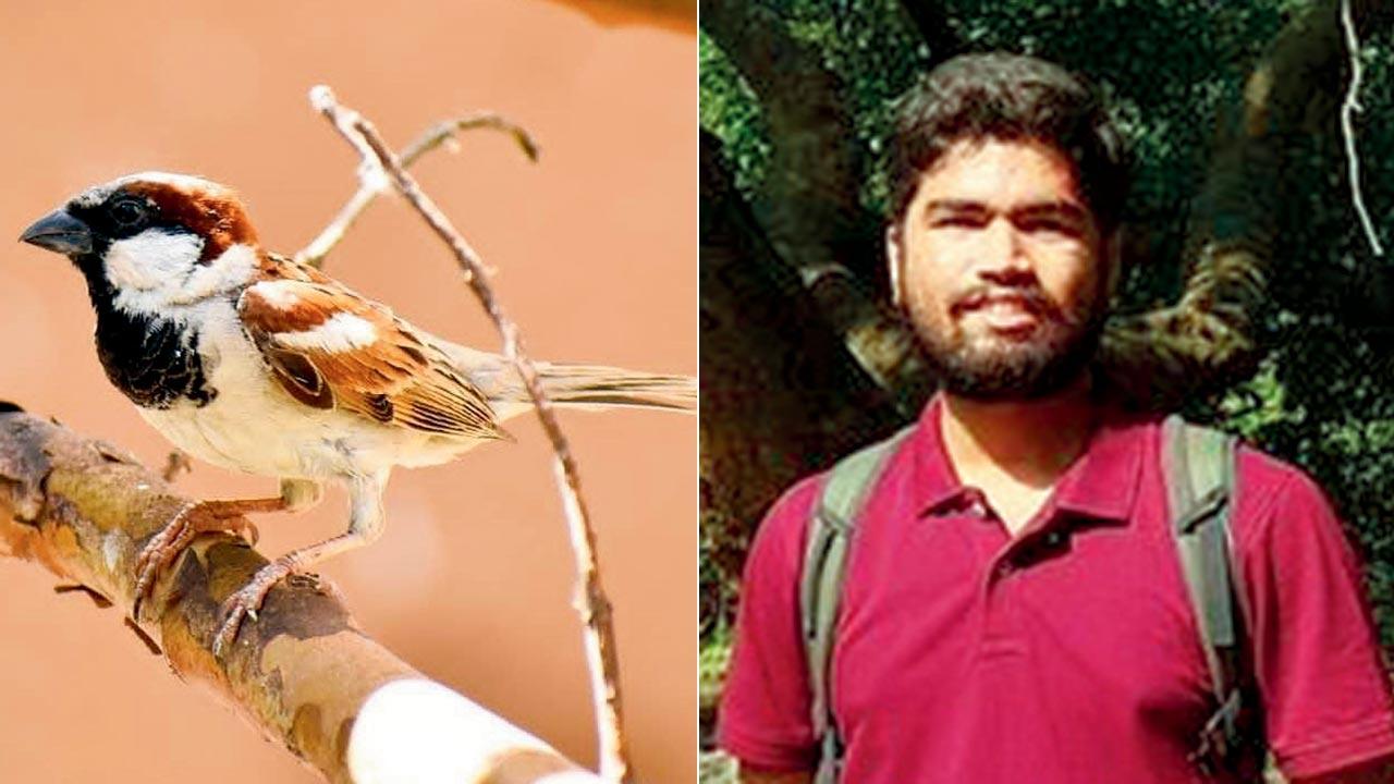 A sparrow; (right) Shubham Hadkar. Pics Courtesy/Shubham Hadkar