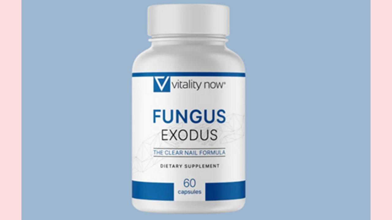 Fungus Exodus Reviews (ALERT 2024) Does Vitality Now's Toenail Fungus Supplement