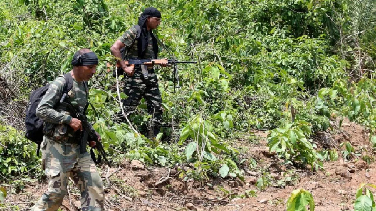 Maharashtra: Security forces seize explosives, Maoist literature in anti-Naxal ops