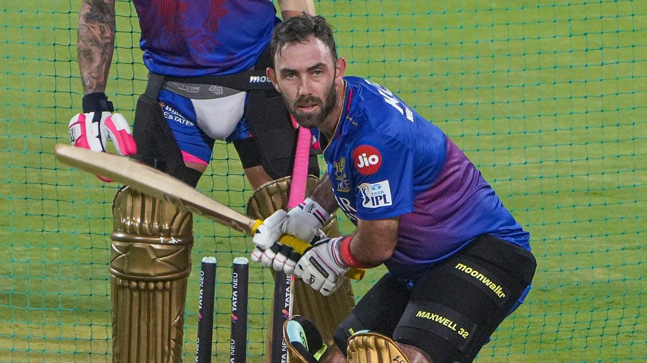 IPL 2024: RCB batting coach McKenzie backs Maxwell to come out of lean run