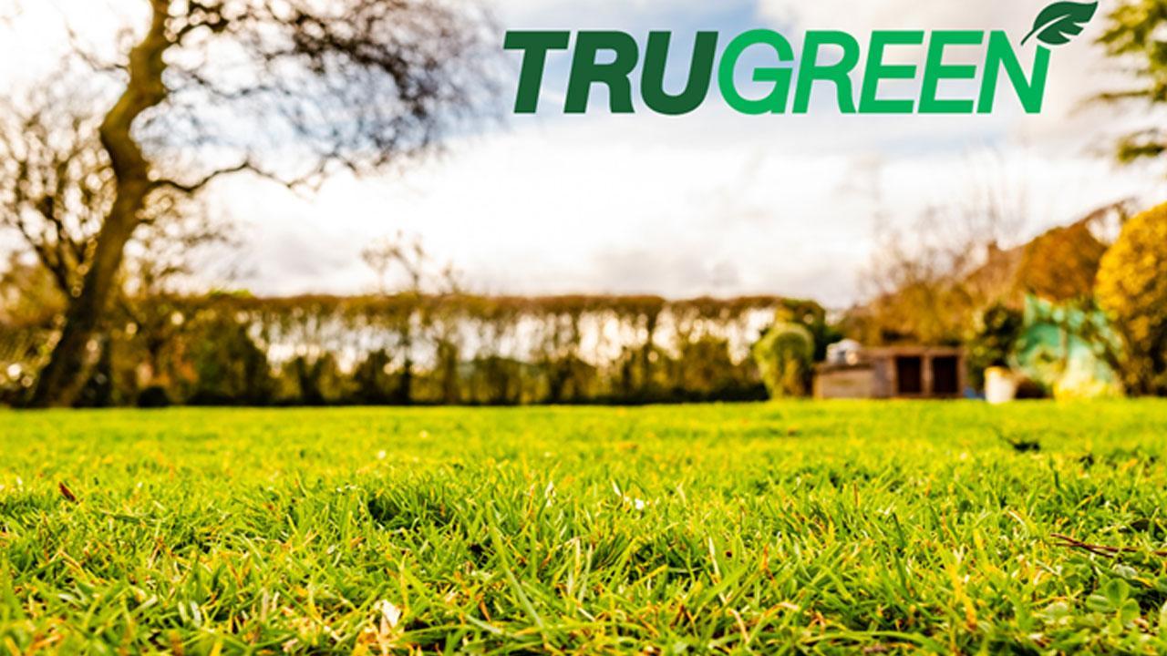 TruGreen Reviews (2024 Update) - My Personal Experience!