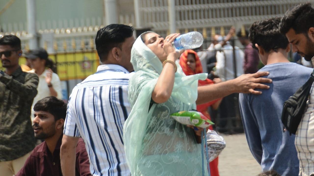 IN PHOTOS: Mumbaikars brace up for more sunny days, IMD predicts heatwave