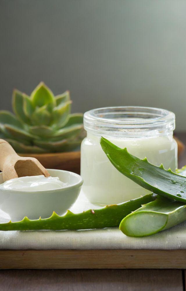 Ingredients like aloe vera, buttermilk, and yoghurt are rich in lactic acid, which helps brighten the skin. These can be used to make face packs at home 
